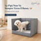🐾 Toalett for hunder med 3 sprutbeskyttende vegger ✨ Beskytter gulv og vegger, sammenleggbart og plassbesparende