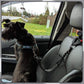 🔥 FLASHSALG 🔥 Elastisk sikkerhetstau for kjæledyr – holder kjæledyret trygt i bilen, justerbar lengde, 360° sving – stopper distraksjoner! 🐕🚗