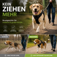 🐕 50% RABATT! 🦺 Anti-trekk-sele – reflekterende, pustende og med to festepunkter for bånd 🌿
