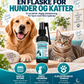 Skånsom tannrengjøringsspray for kjæledyr