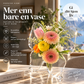 🦋 Gjennomsiktig sommerfuglvas – krystallklar plast, stabil base. Perfekt til blomster, bordpynt og gaver! ✨💐
