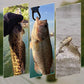Realistisk 3D flytende fiskeagn sett med 3 kroker