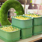 🌿 Dyrk Dine Egne Spirede Bønner – 50% RABATT! Stabelbart Design Gir Maksimal Avling på Minimal Plass. 💪 Helsegevinst: Friske, Sprø & Møgelfrie Skudd. 🚫 Uten Jord – Bare Vann & Tålmodighet! Perfekt til Salater, Wok & Smoothies.