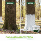 🌳Long-Lasting Tree Whitewash Agent✨🛡