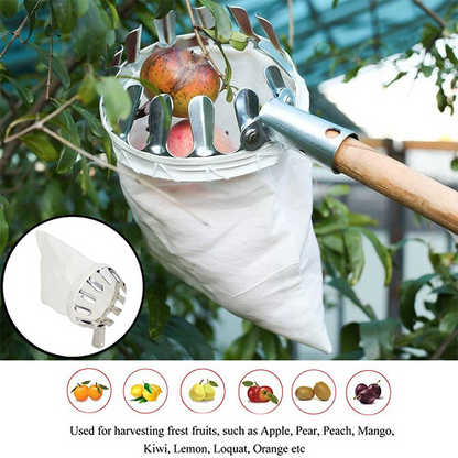 📢📢 50 % RABATT! ⏰ Fruktplukkerhode med kurv – holdbar design, enkel å feste og perfekt for å nå høye grener uten stige 🌳