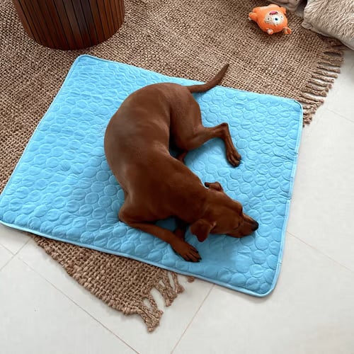 ❄️🐾 Kjølematte for kjæledyr (4× forbedret kjøleeffekt) 🐶 En sommer-må-ha for enhver dyreeier