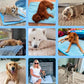 ❄️🐾 Kjølematte for kjæledyr (4× forbedret kjøleeffekt) 🐶 En sommer-må-ha for enhver dyreeier