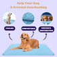 ❄️🐾 Kjølematte for kjæledyr (4× forbedret kjøleeffekt) 🐶 En sommer-må-ha for enhver dyreeier