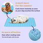 ❄️🐾 Kjølematte for kjæledyr (4× forbedret kjøleeffekt) 🐶 En sommer-må-ha for enhver dyreeier