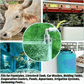 🥰Nytt spesialtilbud 2026 – 50% RABATT✨Helt automatisk flyteventil for regulering av vannstand, i rustfritt stål 304