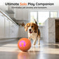 ⏰🔥BEGRENSET TID: 50 % RABATT!🔥OVER 50 000 SOLGT! 🐾 AUTOMATISK SPRETTENDE SMART KJÆLEDYRBALL MED FJERNKONTROLL – 3 interaktive moduser | Tyggesikker E-TPU | USB-C-oppladbar 🎾