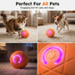 ⏰🔥BEGRENSET TID: 50 % RABATT!🔥OVER 50 000 SOLGT! 🐾 AUTOMATISK SPRETTENDE SMART KJÆLEDYRBALL MED FJERNKONTROLL – 3 interaktive moduser | Tyggesikker E-TPU | USB-C-oppladbar 🎾