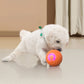 ⏰🔥BEGRENSET TID: 50 % RABATT!🔥OVER 50 000 SOLGT! 🐾 AUTOMATISK SPRETTENDE SMART KJÆLEDYRBALL MED FJERNKONTROLL – 3 interaktive moduser | Tyggesikker E-TPU | USB-C-oppladbar 🎾