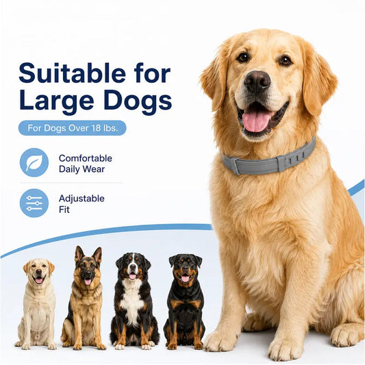 🐾 Justerbar Flått- & Loppehalsbånd for Hund & Katt – Langvarig Beskyttelse mot Insekter! ✨ Vanntett & Myk Silikon – Sitter Komfortabelt Hele Dagen. 🌿 Trygg & Allergivennlig Formel