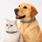 🐾 Justerbar Flått- & Loppehalsbånd for Hund & Katt – Langvarig Beskyttelse mot Insekter! ✨ Vanntett & Myk Silikon – Sitter Komfortabelt Hele Dagen. 🌿 Trygg & Allergivennlig Formel
