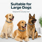 🐾 Justerbar Flått- & Loppehalsbånd for Hund & Katt – Langvarig Beskyttelse mot Insekter! ✨ Vanntett & Myk Silikon – Sitter Komfortabelt Hele Dagen. 🌿 Trygg & Allergivennlig Formel