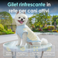 🐶 Abbigliamento estivo traspirante per cani – fresco, leggero e perfetto per le passeggiate sotto il sole! ☀️👕