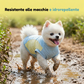 🐶 Abbigliamento estivo traspirante per cani – fresco, leggero e perfetto per le passeggiate sotto il sole! ☀️👕