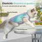 🐶 Abbigliamento estivo traspirante per cani – fresco, leggero e perfetto per le passeggiate sotto il sole! ☀️👕