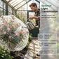 🛡️ Plante Insektsvern Nett – 360° Beskyttelse mot Skadedyr & Fugler! ✨ Slipper Gjennom Lys & Regn – Perfekt for Frukttrær & Busker. 🌱 Snorlukking i Bunnen
