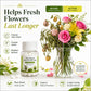 💧 Vannrensetabletter for Hydroponics & Snittblomster – 80 Tabletter per Flaske! ✨ Forlenger Blomstring & Fjerner Lukt – Perfekt for Planter & Buketter. 🌿 Fremmer Rotvekst