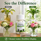 💧 Vannrensetabletter for Hydroponics & Snittblomster – 80 Tabletter per Flaske! ✨ Forlenger Blomstring & Fjerner Lukt – Perfekt for Planter & Buketter. 🌿 Fremmer Rotvekst