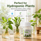 💧 Vannrensetabletter for Hydroponics & Snittblomster – 80 Tabletter per Flaske! ✨ Forlenger Blomstring & Fjerner Lukt – Perfekt for Planter & Buketter. 🌿 Fremmer Rotvekst