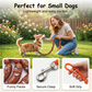 🌭 Lekent Pølsehundbånd – Mykt & Holdbart for Daglige Turer! ✨ Justerbar Lengde – Perfekt for Små & Store Hunder. 🐾 Sklisikkert Håndtak – Kjøp 3 for 10% Ekstra Rabatt! 🐕