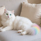 🌈 Giftfri Pelsfarge for Kjæledyr – 12 Farger & Vaskbar Formel! ✨ Skånsom Mot Følsom Hud – Perfekt for Katter & Hunder. 🧴 100ml – Kjøp 3 for 10% Ekstra Rabatt! 🐾