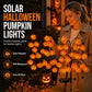 Waterproof Halloween Pumpkin Solar Branch Lights