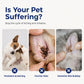 ⏳ Begrenset tid – 50 % rabatt ⏰ Ørerenser for hunder og katter 🐶🐱👂