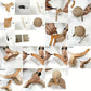 🐱 50 % RABATT! 🧶 Naturlig sisal-kloeskrape i ballform – med kabel, roterende og dobbeltsidig – beskytter møblene dine og underholder katten din 🌿