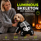 Halloween-skjelettdrakt for kjæledyr som lyser i mørket