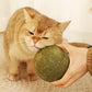 🐱50 % RABATT NÅ! Stor 10 cm naturlig kattemynteball, gigantisk tyggeleke for katter, interaktiv mintleke for innekatter og kattunger, stresslindring og tannrengjøring
