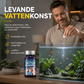 🐠💧 50 % RABATT NÅ! 💧🐠 Profesjonelle vannrensetabletter for akvarium – støtter nyttige bakterier, biologisk filtrering og enkel bruk – perfekt for klarere vann og sunne fisker 🌊✨