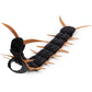 Spooky Halloween Cat Centipede Shape Costume