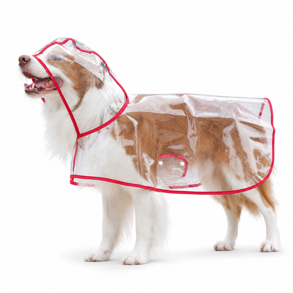 📢 Nyheter – 50 % RABATT 🐕 Gjennomsiktig vanntett regnjakke for hund – hold hunden tørr og synlig på regnværsturer 🌧️