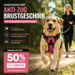 🐕 50% RABATT! 🦺 Anti-trekk-sele – reflekterende, pustende og med to festepunkter for bånd 🌿